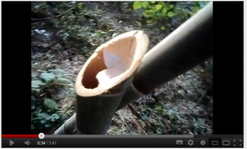 longquan bamboo cutting video