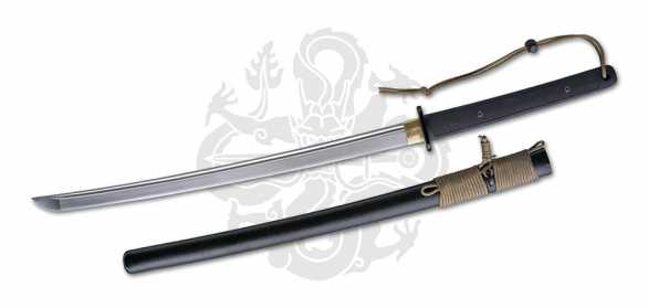 CAS Hanwei Tactical Wakizashi