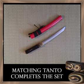 SBG Red Belly Black Snakes - Ko Katana and Tanto Set 5