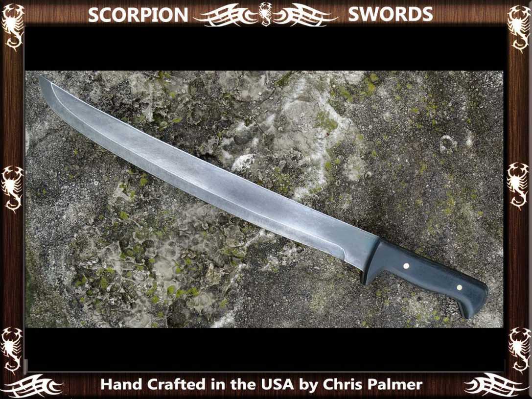 Scorpion Swords Tactical Wakizashi 2