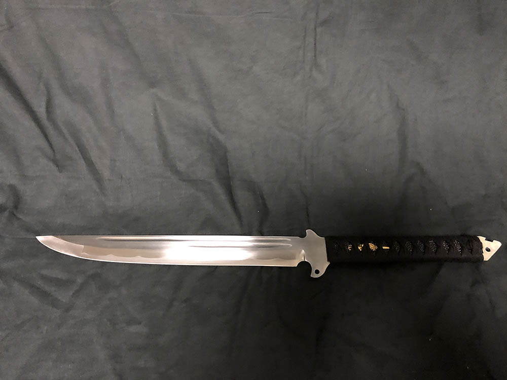 Ryujin 65MN Spring Steel - the 'TakWak' Machete Sword