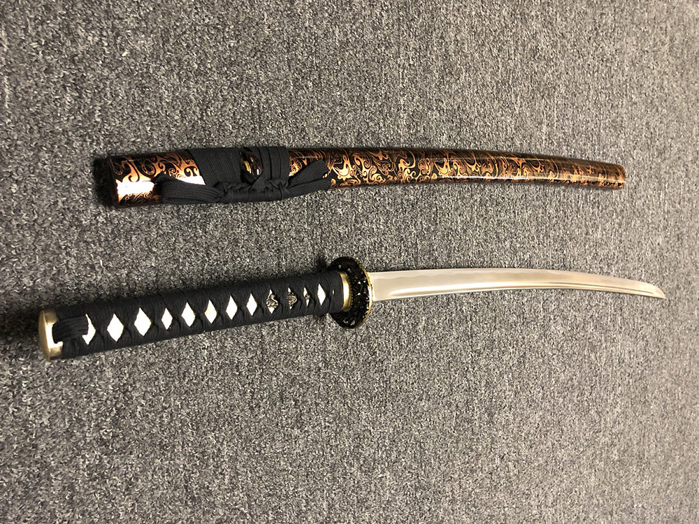 Ryujin 1045 Carbon Steel 'Harui' Art Sword 2
