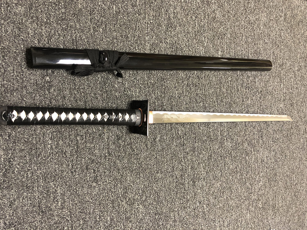 Ryujin 1045 Carbon Steel Ninjato Art Sword 1