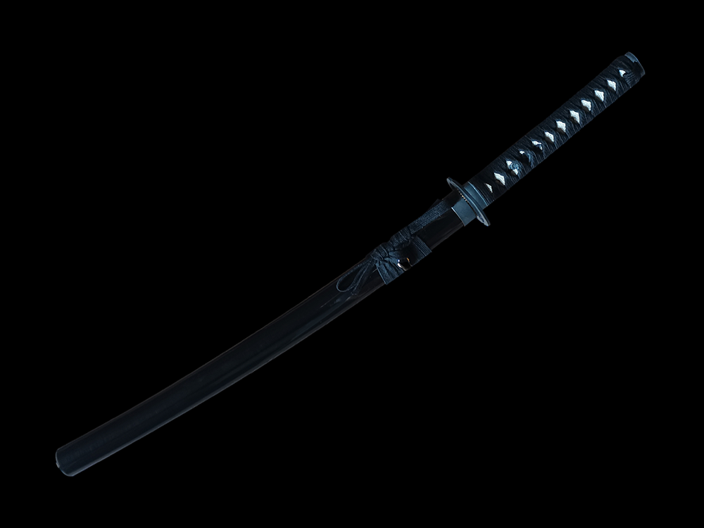 Ryujin 1045 Carbon Steel Musashi O-Wakizashi 2