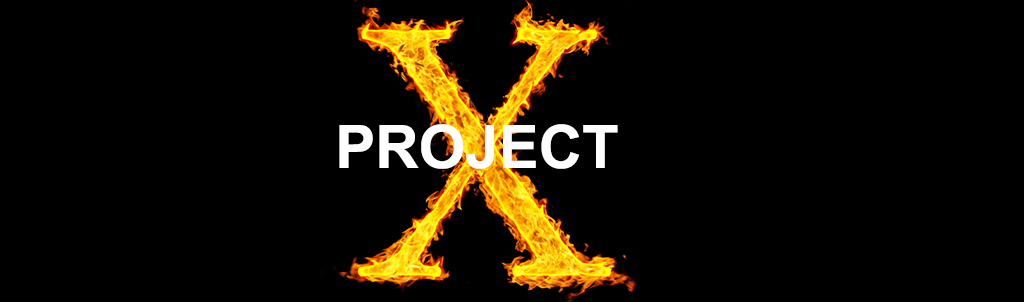 Project X Japanese