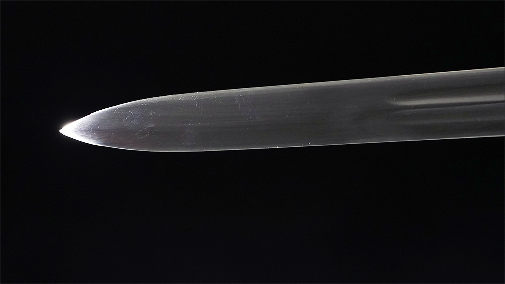 Swordier Witcher Blade of the White Wolf 5