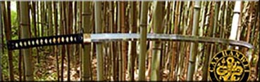 Hanwei-practical