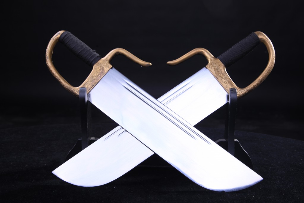Wing Chun Butterfly Swords